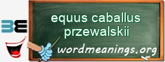 WordMeaning blackboard for equus caballus przewalskii